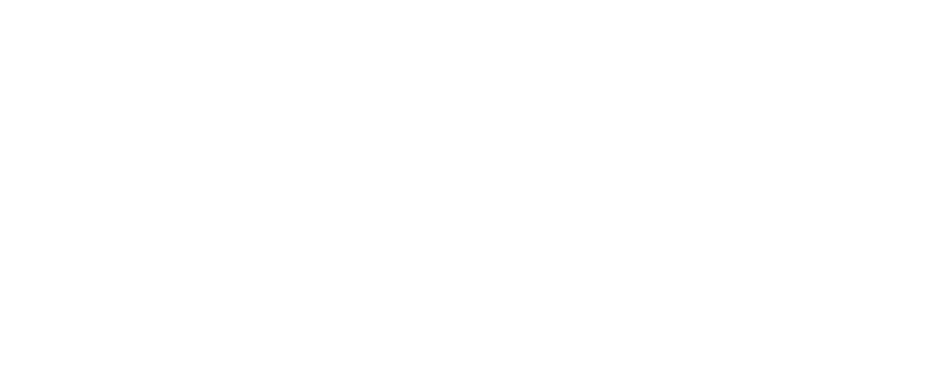 Mediation Services